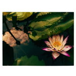 Tablou floare de lotus roz - Material produs:: Tablou canvas pe panza CU RAMA, Dimensiunea:: 80x120 cm, 