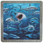 Mega puzzle magnetic holografic Rechini