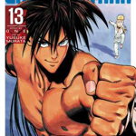 One-Punch Man, Vol. 13, One