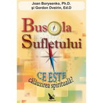 Busola sufletului. Ce este călăuzirea spirituală? - Paperback - Gordon Dveirin, Joan Borysenko - For You, 