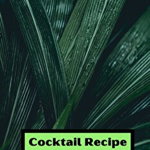 Cocktail Recipe log: Cocktail Log for recording your recipes 6 x 9 with 105 pages drink recipe log, Paperback - Chase Malone