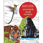 Natura. Colorează după numere - Paperback brosat - Duncan Smith - Didactica Publishing House, 