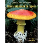 Ghidul Culegatorului De Ciuperci - 555 De Specii, Vasas Gizella,  Locsmandi Csaba - Editura Casa