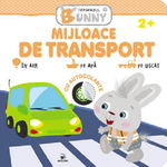 Mijloace de transport. Iepurasul Bunny, Arc