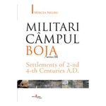 Militari Campul Boja, series III, Settlements of 2-nd 4-th Centuries A. D. - Mircea Negru, Cetatea de Scaun