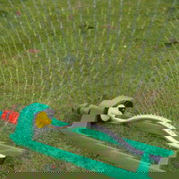 Sistem de irigatie pentru gradina sau peluza, cu 18 orificii pentru apa, ajustabil, sprinkler spray cu oscilare, Neer