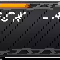 WD Black 850X 1TB M.2 2280 PCI-E x4 Gen4 NVMe SSD (WDS100T2XHE), WD