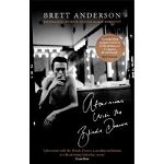 Afternoons with the Blinds Drawn, Paperback - Brett Anderson