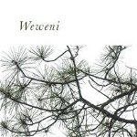 Weweni (Made in Michigan Writers)