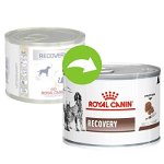 Hrana dietetica pentru caini si pisici, Royal Canin, Recovery Ultra Soft CAT/DOG, conserva, 195g