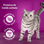 WHISKAS Pure Delight Selectii Clasice, Vită și Pui, plic hrană umedă pisici, (în aspic), multipack, 85g x 4, Whiskas