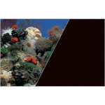 ZOLUX Fundal cu două fețe pentru acvariu 60 cm x 15 M recif de corali