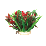 Planta decorativa pentru acvariu Cordyline 10cm