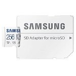MICROSDXC EVO PLUS 256GB CL10 UHS1 W/AD, Samsung