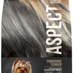 ASPECT Yorkshire Terrier, hrană completă pentru câini adulţi, Somon şi Orez 1kg, Aspect