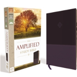 Amplified Study Bible, Imitation Leather, Purple, Indexed, Hardcover - Zondervan