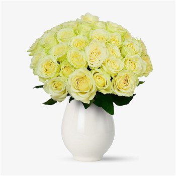 Buchet de 45 trandafiri albi - Standard, Floria