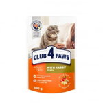 Hrana umeda completa Club 4 Paws Premium pentru pisici, cu Iepure in jeleu, 24x100g
