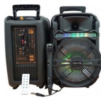 Boxa portabila 80W KTS-1176 cu Microfon, RadioFM, Bluetooth