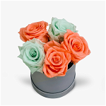 Cutie cu 5 trandafiri criogenati multicolori - Standard, Floria