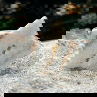 Stea calcit albastru caraibe m2, druzy.ro - Cristale, Home Deco