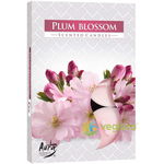 Set Lumanari Tip Pastila Aroma Floare de Prun 6 buc. BISPOL