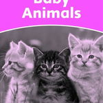 Dolphin Readers Starter Level Baby Animals Activity Book, 