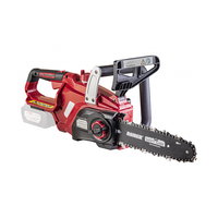 Fierastrau electric cu lant Raider RDP-SCS20 250mm 20V 3Ah