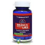 Branca Marelui Urs 60 capsule, Herbagetica