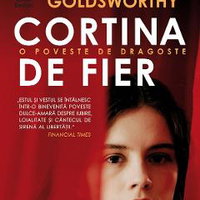 Cortina De Fier.O Poveste De Dragoste, Vesna Goldsworthy - Editura Humanitas Fiction