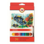 
Creioane Colorate Aquarell, Colectie Fructe, 36 Culori
