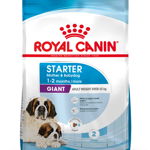 ROYAL CANIN SHN Giant Starter 15kg, Royal Canin