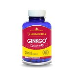 Ginkgo Curcumin 95 120cps Herbagetica
