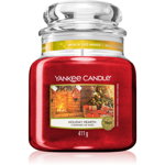Yankee Candle Holiday Hearth lumânare parfumată 411 g, Yankee Candle