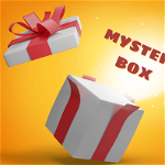 Mystery Box haine barbat - cod BOX2