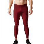 Imbracaminte Barbati CW-X Endurance Generator Joint amp Muscle Support Compression Tights Syrah