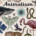 Carte Editura Humanitas, Animalium, Katie Scott