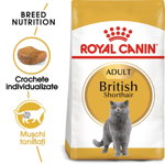ROYAL CANIN British Shorthair Adult 20 kg (2 x 10 kg) hrană uscată pentru pisici adulte British Shorthair, ROYAL CANIN