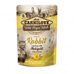 CARNILOVE Kitten, File Iepure cu Gălbenele, plic hrană umedă fără cereale pisici junior, (în sos), 85g, Carnilove