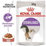 Hrana umeda pentru pisici Royal Canin, Sterilised, in sos, 12x85g