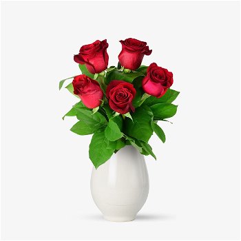 Buchet de 5 trandafiri rosii - Standard, Floria