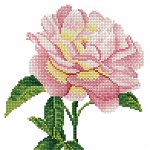 Tablou cu diamante - Trandafir roz cu galben, Jucaresti
