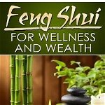 Feng Shui for Wellness and Wealth: Simple Feng Shui Tricks for Personal and Professional Success: Health, Money and Happiness with Feng Shui Tips for - James Adler, James Adler