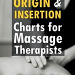 Origin & Insertion Charts for Massage Therapists