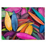 Tablou coji fructe legume pictate manual multicolor 1374 - Material produs:: Tablou canvas pe panza CU RAMA, Dimensiunea:: 70x100 cm, 