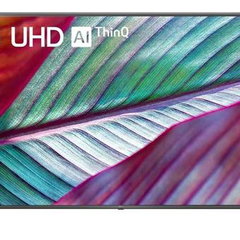 LED TV 4K 43'' (109cm) LG 43UR781C