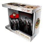 Set Cadou Harry Potter - Cana 320ml + Breloc + Notebook Harry Ron Hermione, ABYstyle