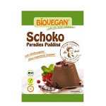 Budinca de ciocolata Bio, 55g, Biovegan, Biovegan