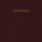 KJV, Reference Bible, Personal Size Giant Print, Bonded Leather, Burgundy, Indexed, Red Letter Edition - Thomas Nelson