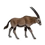 Papo Figurina Antilopa Oryx, Papo